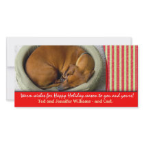 Create your own pet photo holiday card photo cards