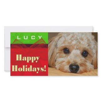 Create your own pet photo holiday card photocard