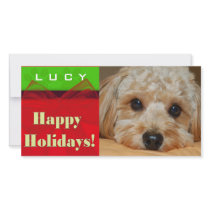 Create your own pet photo holiday card photo cards