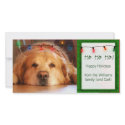 Create your own pet photo holiday card photo cards by aslentz Create your own pet photo holiday card photo cards