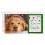 Create your own pet photo holiday card