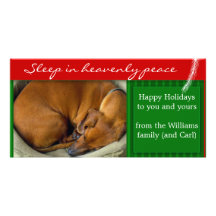 Create your own pet photo holiday card photo greeting card