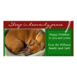 Create your own pet photo holiday card photo card template