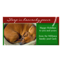 Create your own pet photo holiday card photo card template