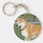 CREATE YOUR OWN PET PHOTO KEY CHAINS