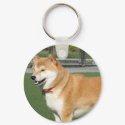 CREATE YOUR OWN PET PHOTO keychains