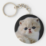 CREATE YOUR OWN PET PHOTO KEYCHAINS