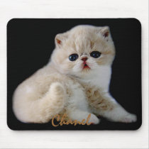CREATE YOUR OWN PET PHOTO mousepads by FotoShop CREATE YOUR OWN PET PHOTO mousepads
