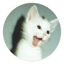 CREATE YOUR OWN PHOTO stickers