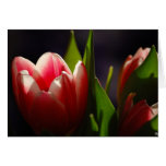 Creation Of Flowers Card