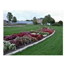 Creative colorful flower decoration in park postcard
