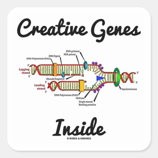 Creative Genes Inside (DNA Replication) Sticker