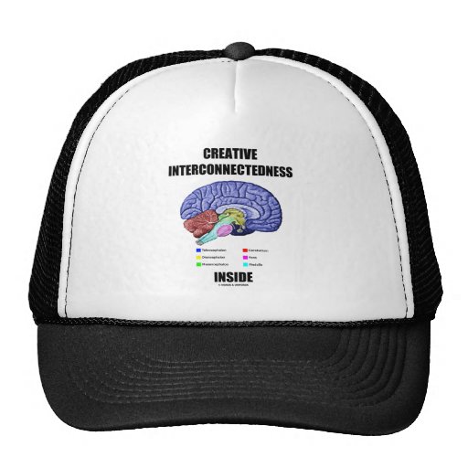 Creative Interconnectedness Inside (Brain) Hat