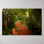 Creative Little Garden, Medium Print