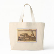 CREDIT LYONNAIS BAG