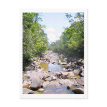 Creek 2 postcards by nomadlandscapes Creek 2 postcards
