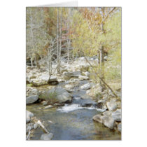 Creek at Chimney Rock cards by allthingsnatural Creek at Chimney Rock cards