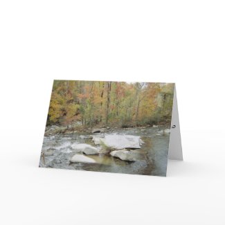 Creek At Chimney Rock, North Carolina card