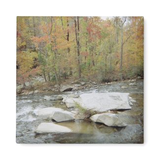 Creek At Chimney Rock, North Carolina magnet