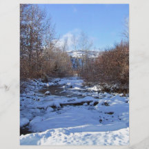 Creek covered by ice custom flyer
