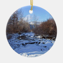 Creek covered by ice ornament