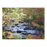 Creek in Connecticut