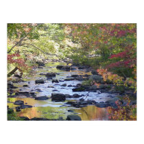 Creek in Connecticut posters by xanscreations Creek in Connecticut posters