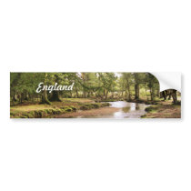Creek in New Forest Bumper Stickers