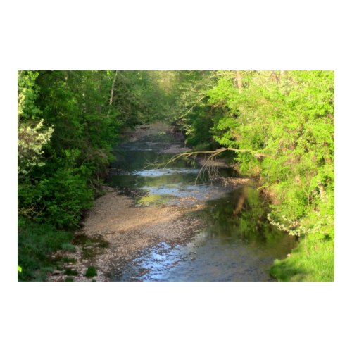 Creek in Spring print