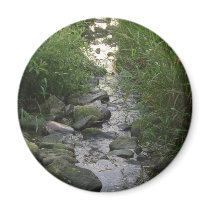 creek magnet by darling_designs creek magnet