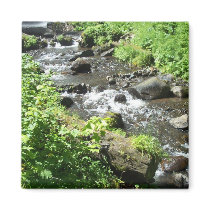 Creek. magnets