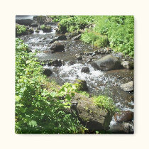 Creek. magnets by Acorns_tree Creek. magnets