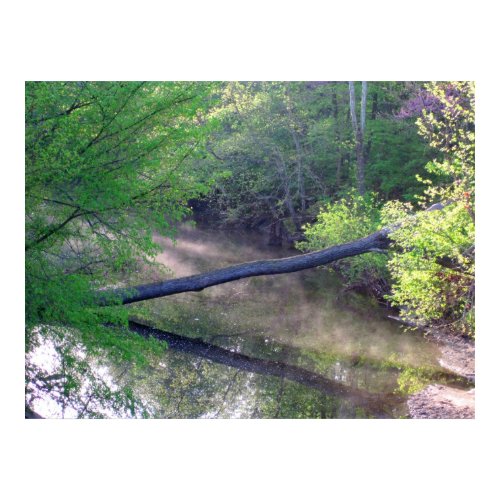 Creek on Misty spring Morning print