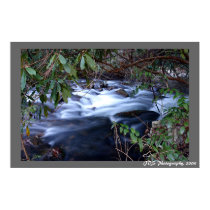Creek posters