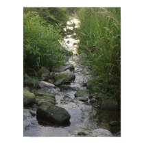 creek poster posters by darling_designs creek poster posters