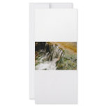 Creek rack cards
