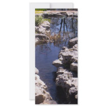 Creek rack cards by Tamossa Creek rack cards
