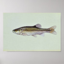 Creekchub Print