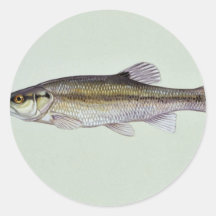 Creekchub Stickers