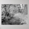 Creekside in Winter posters