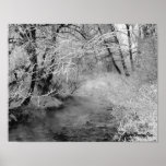 Creekside in Winter Posters