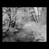 Creekside in Winter posters