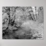 Creekside in Winter Posters