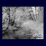 Creekside in Winter Posters