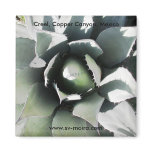 Creel, Copper Canyon, Mexico Refrigerator Magnet