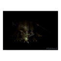 Creeper 2 posters by Pixilator Creeper 2 posters