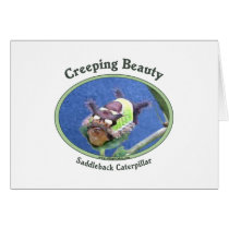 Creeping Beauty Caterpillar Greeting Cards