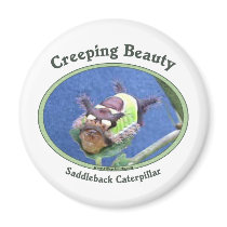 Creeping Beauty Caterpillar Refrigerator Magnet