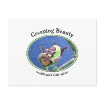 Creeping Beauty Caterpillar Postcard