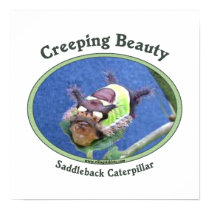 Creeping Beauty Caterpillar Poster
